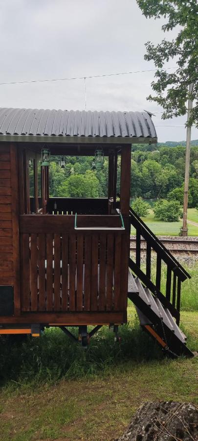 Апартаменты Autarkes Tiny House Mit Rheinblick Rumikon Экстерьер фото