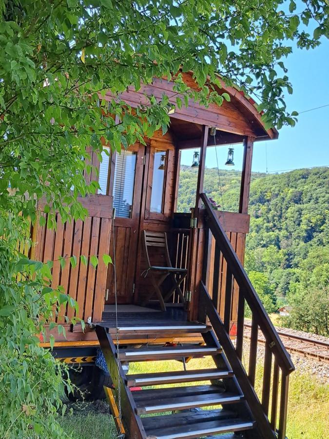 Апартаменты Autarkes Tiny House Mit Rheinblick Rumikon Экстерьер фото